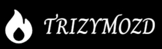 Trizymozd Logo